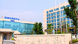 减量增效尊龙凯时在行动