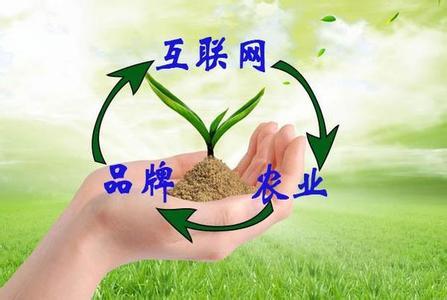 “互联网+农业+品牌”等于什么？